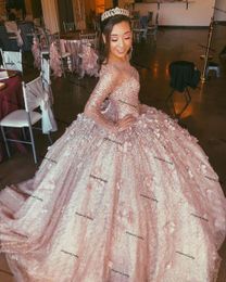 Rose Gold Ball Gown Quinceanera Dresses Bridal Gowns Sweetheart Long Sleeve prom Sweet 16 Dress vestidos de xv años anos