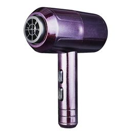2000W Professional Hair Dryer Hot Cold Blow Fast Heat Powerful Blower Low Noise - Black