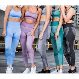 Women Workout Outfit Lady Girl Leggings Sports Bra Wirefree Brassiere Tights Set X0629