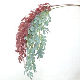 Shop Jujube Trees Uk Jujube Trees Free Delivery To Uk Dhgate Uk