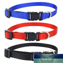 Pet Solid-colored Collar Simple Neck Strap With Seatbelt Buckle And Leash Ring Adjustable For Dogs 3 Colors 48cm*2cm Factory price expert design Quality Latest Style