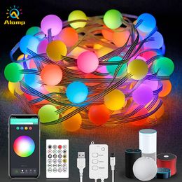 Smart Globe String Lights RGBIC Wifi Bluetooth Waterproof USB Outdoor LED Strip Light For Christmas Tree Lighting work with Alex Google Home Eco