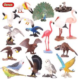 Oenux Original Bird Paradise Flamingos Macaw Sea Gull Snowy Owl Parrot Figurines High Quality PVC Animals Action Figure Kid Toy C0220