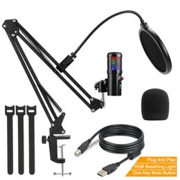 RGB USB Microphone Gaming Professional Studio Condenser 192Khz/24Bit Mic for Pc Computer Youtube With Pop Philtre Boom Arm Stand