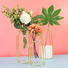 Vases Nordic Ins Metal Iron Art Hydroponic Container Glass Test Tube Vase Creative Home Living Room Flower Stand Decoration