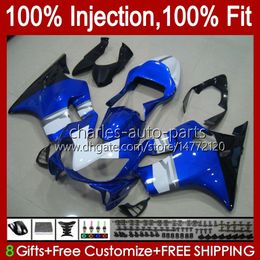 Injection mold Fairings For HONDA CBR 600 FS CC 600F4i CBR600 F4i 01 02 03 Bodywork 46No.94 White blue CBR600F4i F4 i 600CC 2001 2002 2003 CBR600FS 01-03 OEM Body Kit