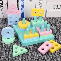 Wood Model Building Blocks Kit Early Learning Educational Toys Colour Shape Match Kids 3D Puzzle For Children Factory Best Wholesale