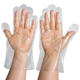 Disposable Gloves 100 Pieces of Plastic Transparent TPE Glovess Thickened Beauty Catering Home Baking WH0528