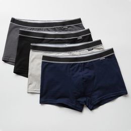 Calzoncillos de Hombre | Moda Hombre online en BrunosModa
