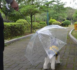 Transparent PE Pet Umbrella Small Dog Puppy Umbrella Rain Gear with Dog Leads Keeps Pet Dry Comfortable in Rain Snowing