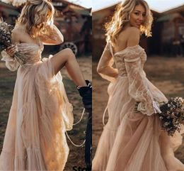 Abiti da sposa rustici da cowgirl country 2022 Champagne Lace Farm Bohemain scollo a V maniche lunghe A Line Hippie Abiti da sposa sexy Abiti da sposa Plus Size CG001