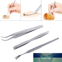 3Pcs Pet Flea Treatment Tick Removal Tools Set 2 In 1 Stainless Steel Fork Tweezers Clip Set For Pet Supplies