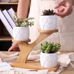OOTDTY Cute Owl Pot Succulent Cactus Planter Flowerpot Set with 3 Layers Flower Pergola Bamboo Shelf Tray Kit Decor 210615