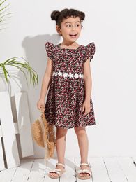 Toddler Girls Ditsy Floral Contrast Lace Butterfly Sleeve Dress SHE