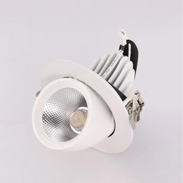 Downlights LED Trunk Light COB Gimbal 10W 15W 20 30W Warm White Cold Gimble Lamp Rotatable Downlight Adjustable