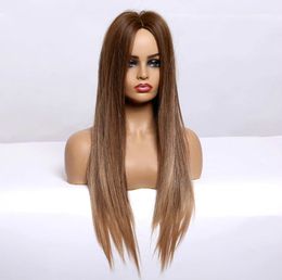 European and American fashion leisure wig femininity brown long straight hair online celebrities in fashion fluffy medium long hair high qua