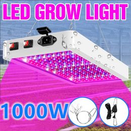 Plant Lamps Full Spectrum Grow LED Lights 1000W 2000W Phyto Lamp Indoor Lead Growing Flower Seedling Greenhouse Light US EU UK Plug