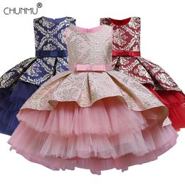 Lace Embroidery Formal Sleeveless Wedding Gown Tutu Princess Dress Flower Girls Children Clothing Kids Party For Girl Clothes 210303