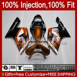 OEM Injection Mould For KAWASAKI NINJA ZX 6R 6 R 600 CC ZX600 ZX-6R 2003 2004 Bodywork 8No.114 ZX636 ZX 636 600CC 03-04 Body ZX600C ZX-636 ZX6R 03 04 Fairing Kit orange glossy