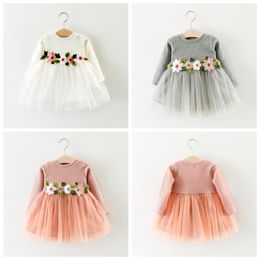 Baby Girl Clothes Embroidered Girls Dresses Flower Tulle Dresses Long Sleeve Princess Dress Boutique Baby Clothing 3 Colors Optional AT4655