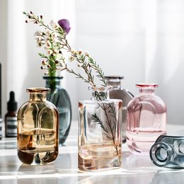 Vase Glass Transparent Flower Vases For Homes Dry Flower Aromatherapy Desktop Living Room Decoration Accessories Home Nordic 210310