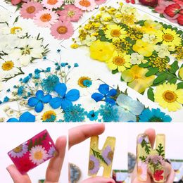 jewellery making UK - Decorative Flowers & Wreaths Real Dried Flower DIY Art Craft Epoxy Resin Candle Making Jewellery Finding Filler Filling Materia