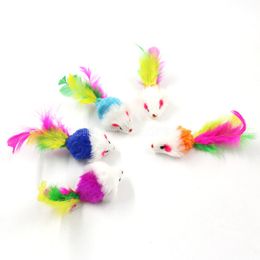 Colorful Feather Grit Small Mouse Cat Toys For Cat Feather Funny Playing Pet dog Cat Small Animals feather Kitten FY4654 CS11