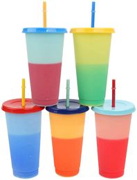 Colour Changing Cups with Straw Set, 24oz Cold Water Cups, Summer Iced Coffee Party Cup for Adults, Plastic