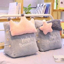 Cushion/Decorative Pillow Winter Plush Cartoon Office Waist Ins Sofa Triangle Cushion Bedside Backrest Gift