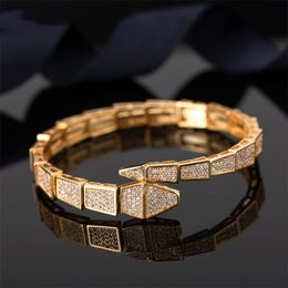 2021 Electroplating exaggerated luxury design micro inlaid Zircon Bracelet women's Snake Bracelet Personalised birthday gift three Colours