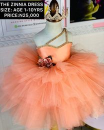 2021 Orange Crystals Tutu Flower Girl Dresses Ball Gown Knee Length Tulle Lilttle Kids Birthday Pageant Weddding Gowns ZJ597296o