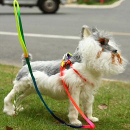 Dog Collars & Leashes Single Sale Fashion Colourful Pet Leash Rope Harness With A Soft Comfortable Handle Supplies