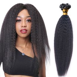 Kinky Straight Mongolian Hair Extensions Pre Bonded Flat Tip In Extension Natural Color