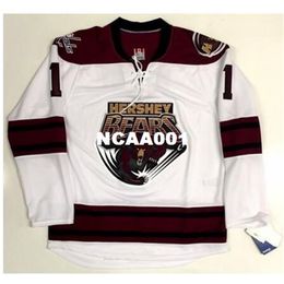Real 001 real Full embroidery #1 Brayden Holtby AHL Hershey Bears Hockey Jersey or custom any name or number Hockey Jersey