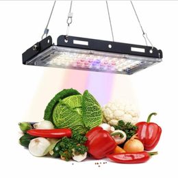 Grow Lights Full Spectrum LED Light 800W Phytolamp For Plants Home 3500K 5500K Phyto Lamp Indoor Flower Vegs Greenhouse Bonsai Planting