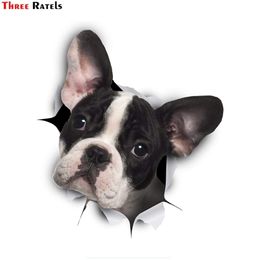 truck stickers UK - Three Ratels FC57 3D Dog Sticker Black White Frenchie French Bulldog Decal Bumper for Window Car Truck Laptop Toilet 211217