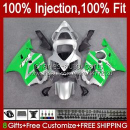 Injection Mould Body For HONDA CBR 600 F4i FS CC 600F4i 600CC CC 01-03 Bodywork 46No.26 CBR600F4i F4 i CBR600 F4i 01 02 03 Green Silver CBR600FS 2001 2002 2003 OEM Fairing