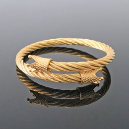 New Luxury Royal Crown Bracelet Fashion New Stainless Steel Cable Bracelets for Women Men Charm Geometry Brand Jewellery