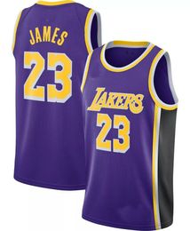 LeBron James Purple Jersey Stitched Men Women Youth Basketball Jerseys Size XS-6XL