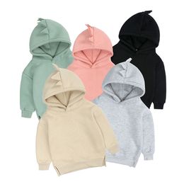 Kids Tales Arrival Spring Warm Fleece Hoodies Dino Baby Boys Girls Hoody Older Children Pullover Outerwear 6M-12Y 220309