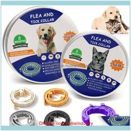 dog flea collar nz