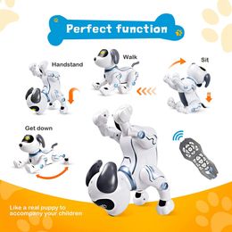 Electronic Pets RC Animal Programmable Robot Dog Voice Remote Control Toy Puppy Music Song for Kids Birthday Gift