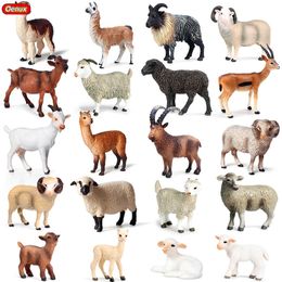 Oenux Farm Animals Simulation Alpaca Lamb Sheep Goat Model Action Figure Figurines PVC Miniature Educational Cute Toy For Kid C0220