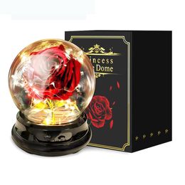 LED Strings Valentine's Day gift Light Infinity Rose Lamp Gift Lights String Forever Rose Flower PC Dome Artificial Gifts