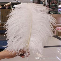 Decoração de festa por atacado 10 pcs de alta qualidade bela avestruz penas 40-45cm / 16-18 polegadas u escolha cor de casamento decoração