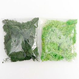 20g/pack Green Plant Immortal Everlasting Flower Moss Grass Home Living Room Decorative Wall Diy Flower Mini Acc jllNxf