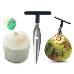 NewCoconut Opener Tool Stainless Steel Coconut Water Punch Tap Straw Open Hole Cut Gift Fruit Openers Tools EWD7472