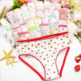 12pcs/Lot Cotton Girls Briefs Children's Underwear Kids Panties 2-12Y 211122