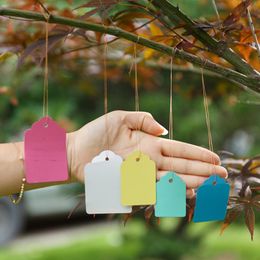 Other Garden Supplies 30-300PCS 5 Kinds Of Colour Size Plastic Hanging Gardening Labels With String Line For Pot Herbs Waterproof Plant Tags