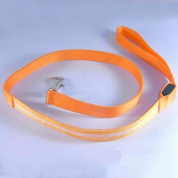 Dog Collars & Leashes LED Light Flashing Glow Pet Night Safety Adjustable Nylon Leash 120cm